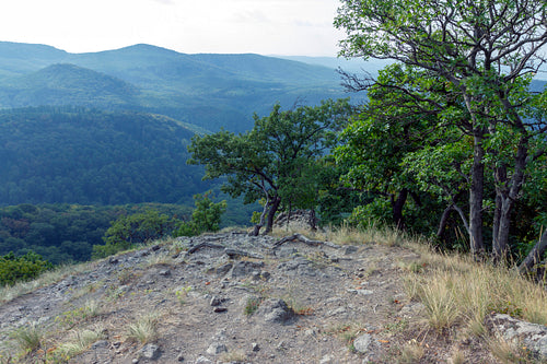 The Danube bend view from the Prédikálószék