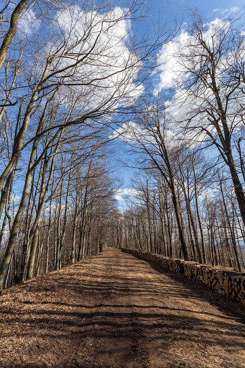 Hiking trail on the Nagy-Hideg-hegy in the Börzsöny