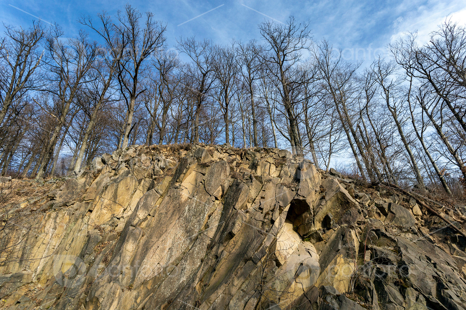 Volcanic rock on the Nagy-Hideg-hegy in the Börzsöny