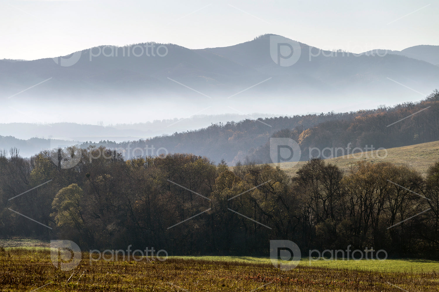 Winter landscape in the Zemplén mountains
