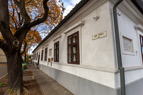 Ferenc Erkel Memorial House in Gyula