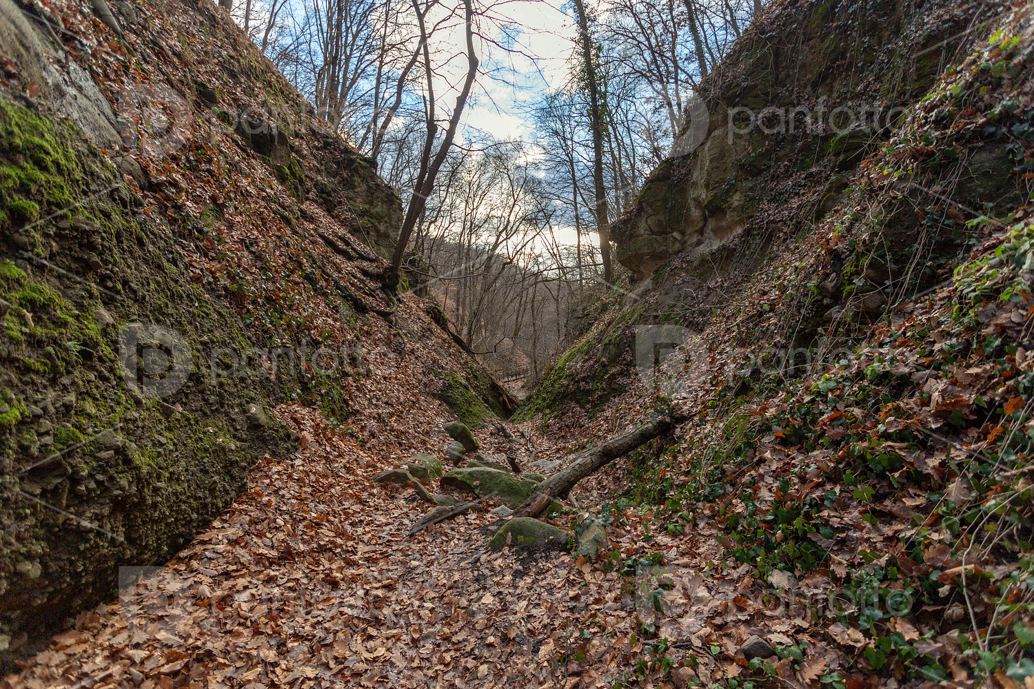 The Moonlight valley in the Visegrád Mountains