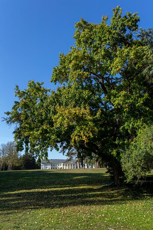 Festetics Mansion in Dég