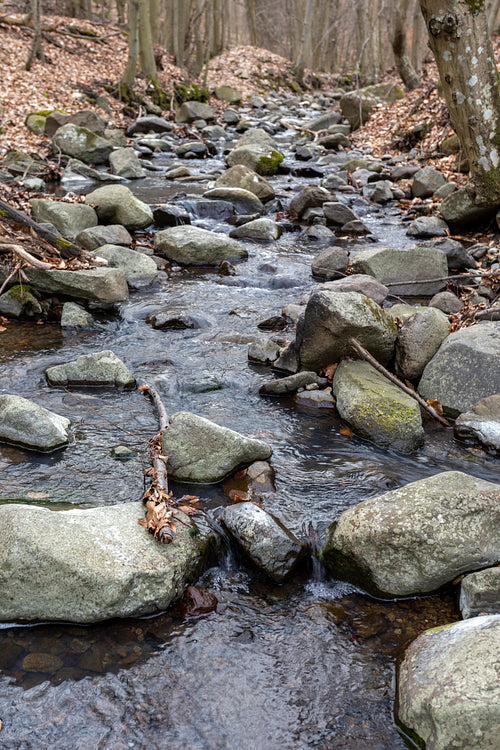 Small creek on the Nagy-Hideg-hegy in the Börzsöny