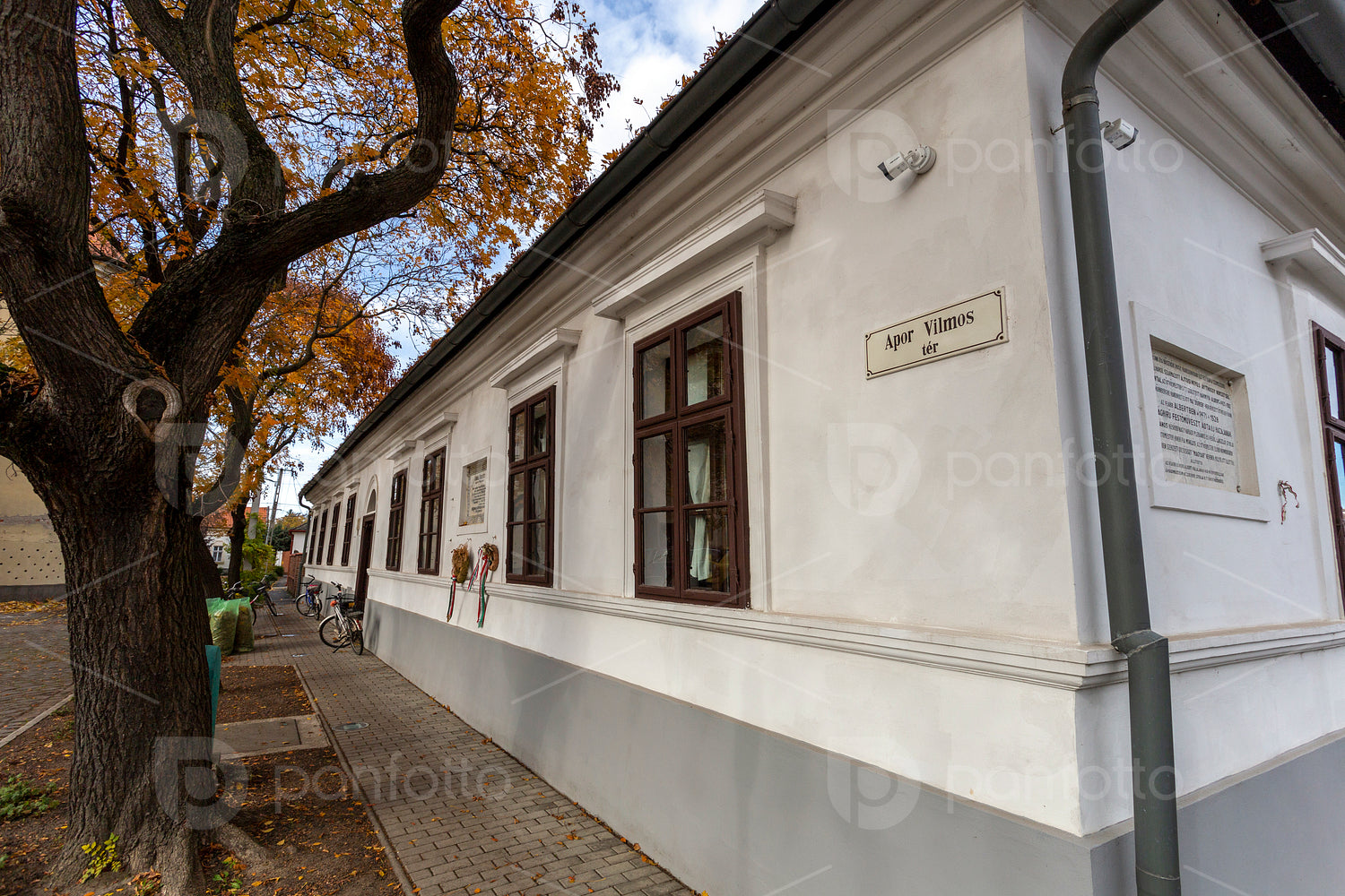 Ferenc Erkel Memorial House in Gyula
