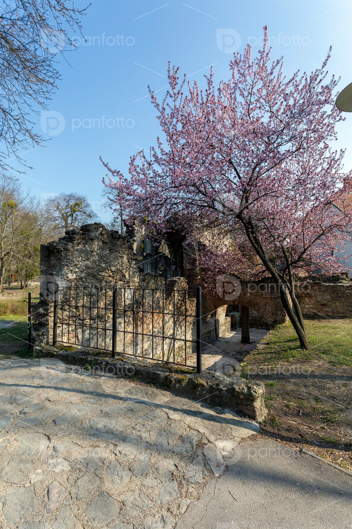 Artificial ruins in the english garden of Tata, Hungary.