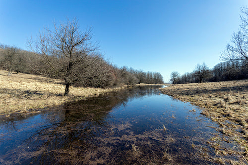 Small pond on the Nagy-Sas-hegy in the Börzsöny