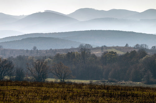 Winter landscape in the Zemplén mountains