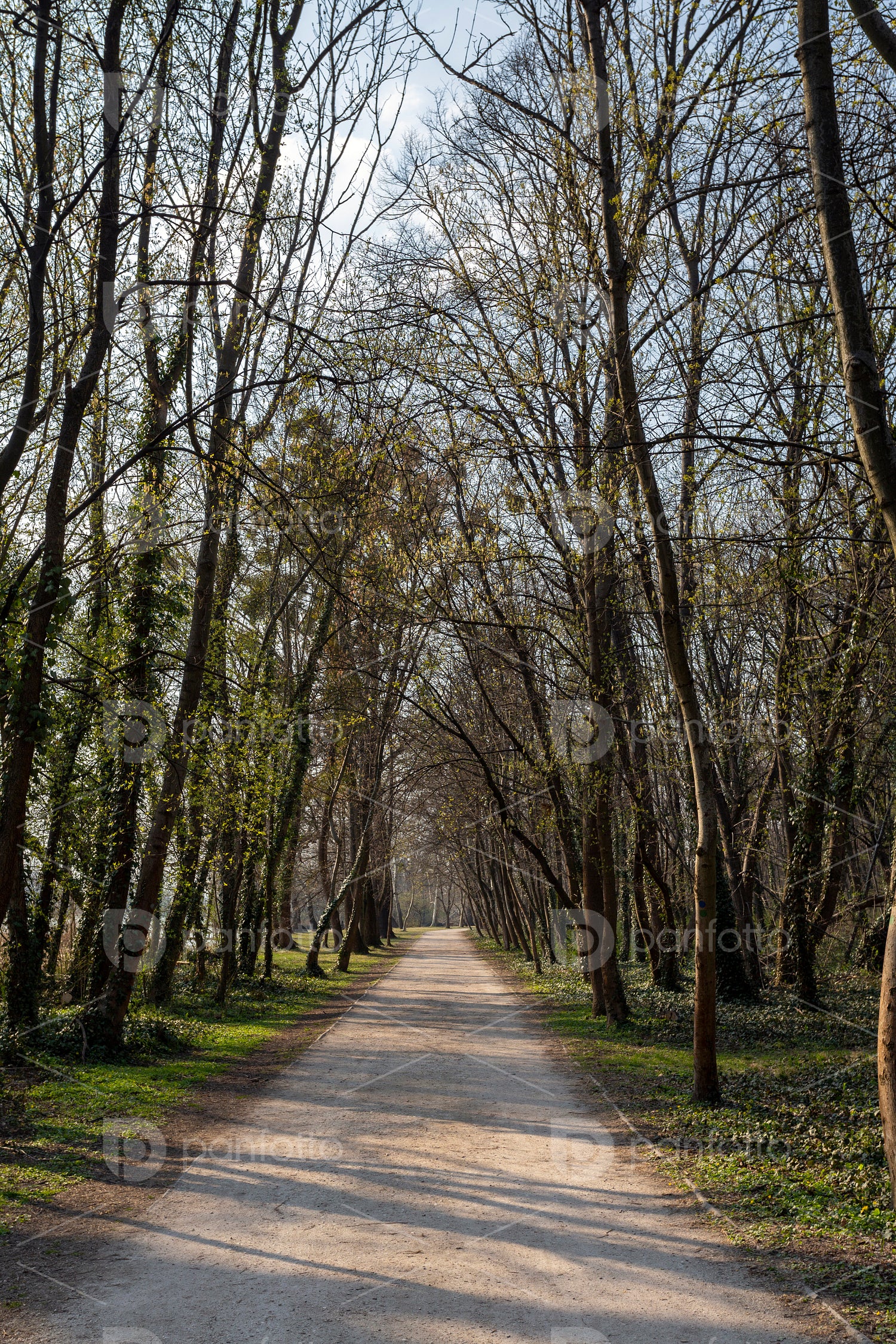 Walking path in the english garden of Tata, Hungary