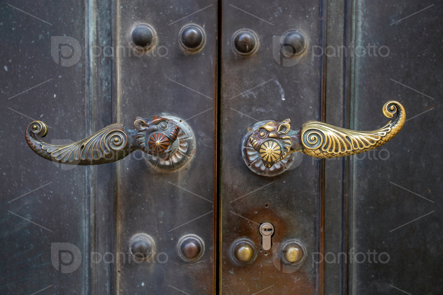 The  door of the Cathedral of Pecs