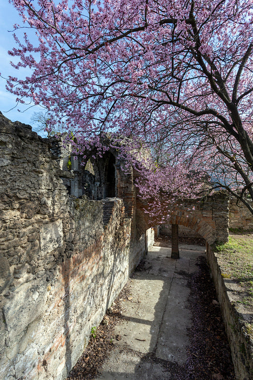 Artificial ruins at the English garden in Tata