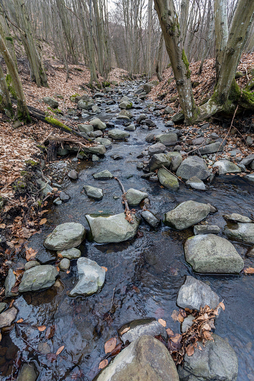 Small creek on the Nagy-Hideg-hegy in the Börzsöny