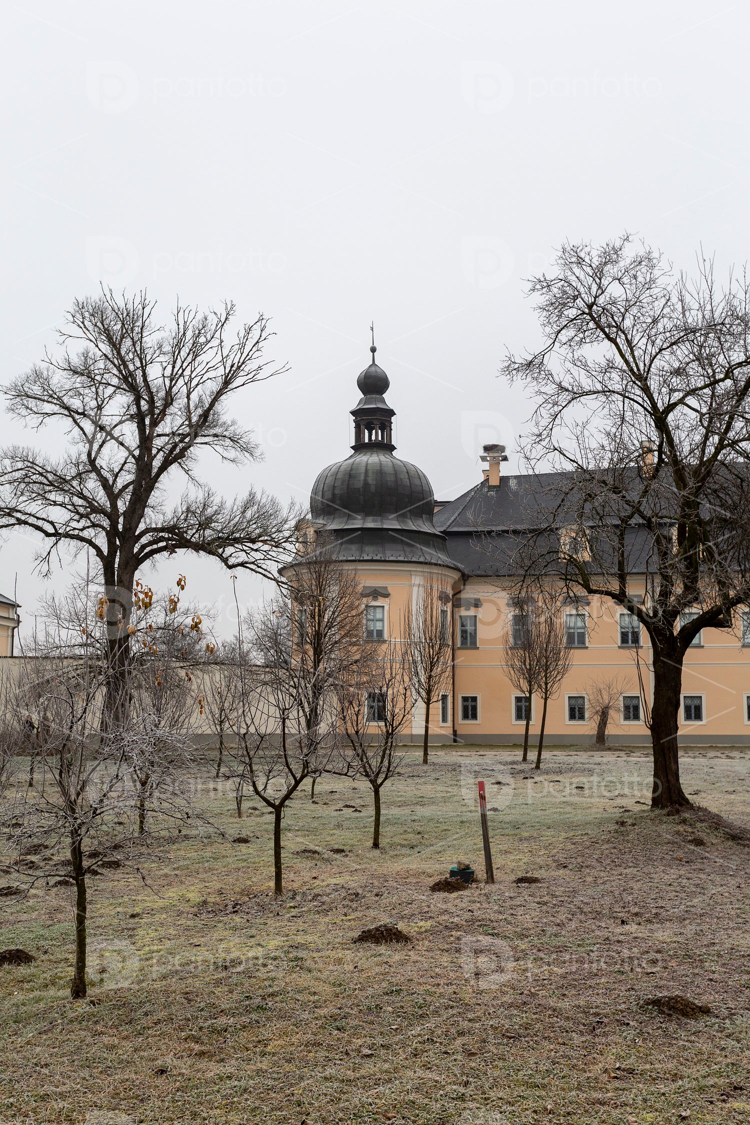 L'Huillier-Coburg Palace in Edeleny