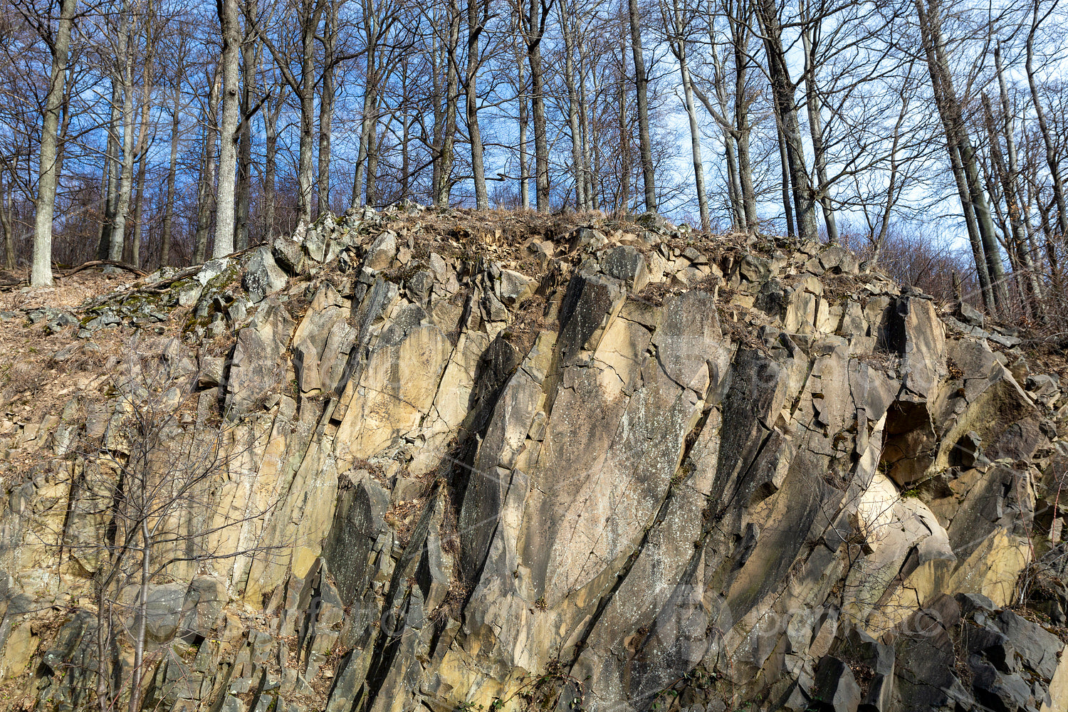 Volcanic rock on the Nagy-Hideg-hegy in the Börzsöny