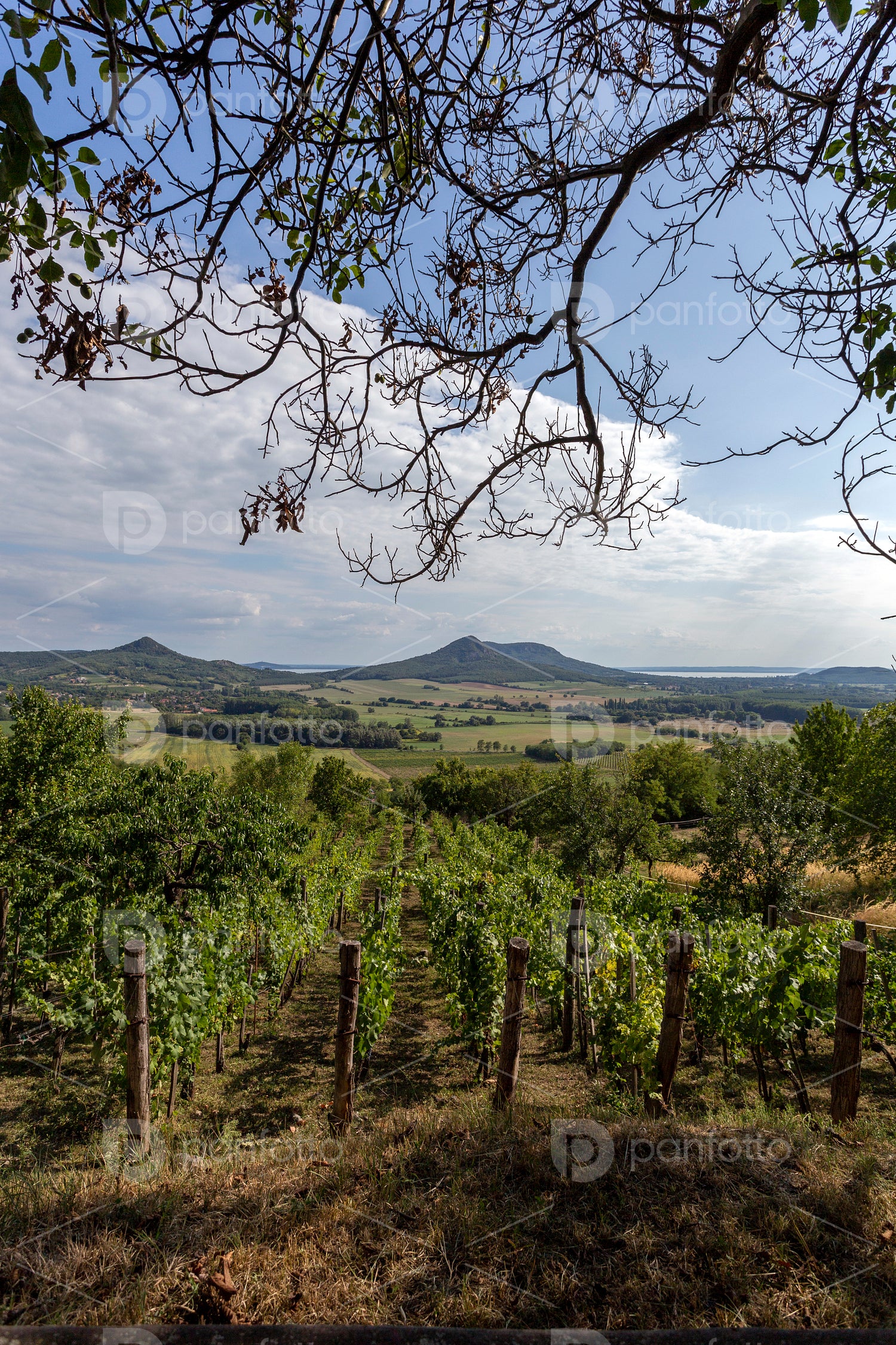 Balaton Uplands