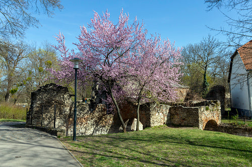 Artificial ruins at the English garden in Tata