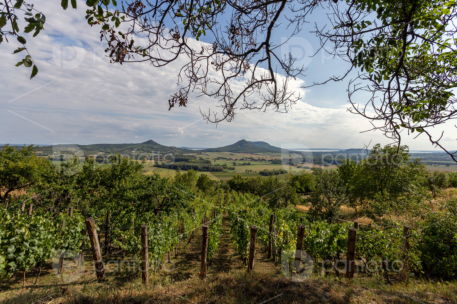 Balaton Uplands