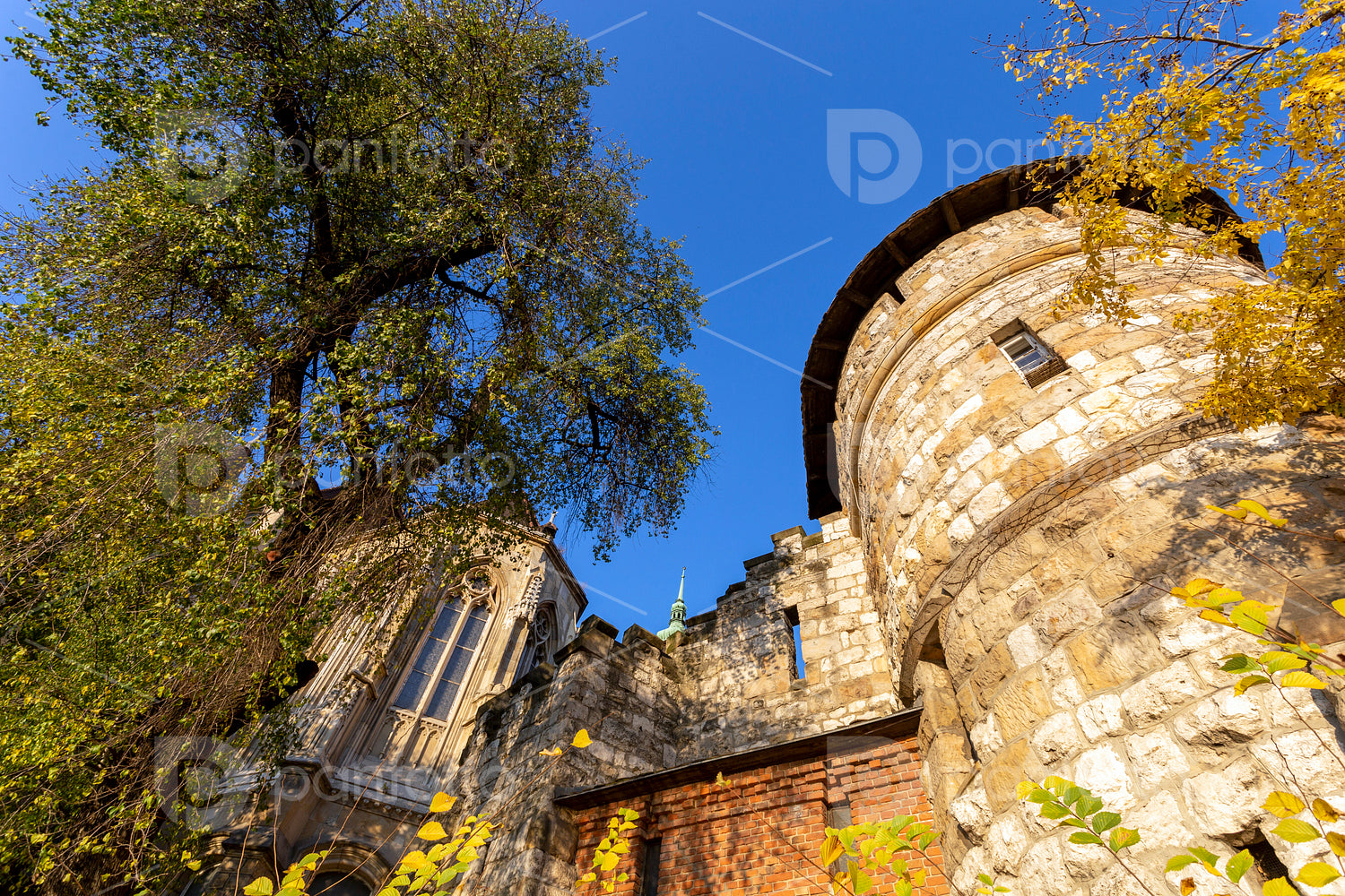 Vajdahunyad Castle in Budapest