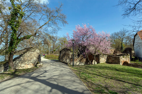 Artificial ruins at the English garden in Tata