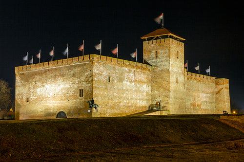 Gyula Castle in Gyula on a winter night