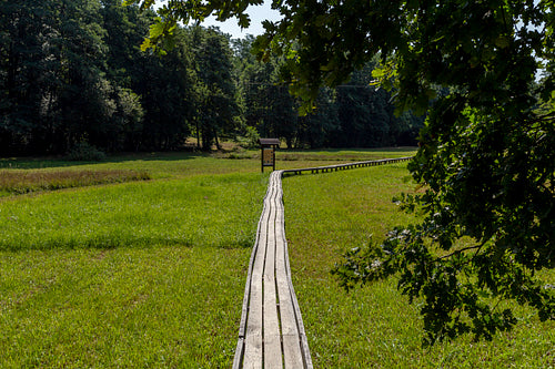 The moorland in Szőce