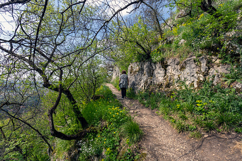Hiking trail in the Gerecse mountains