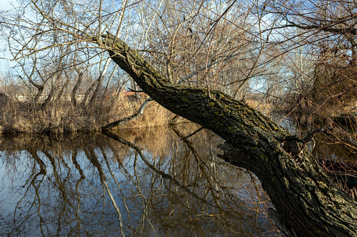 The river Danube at Szigetcsép