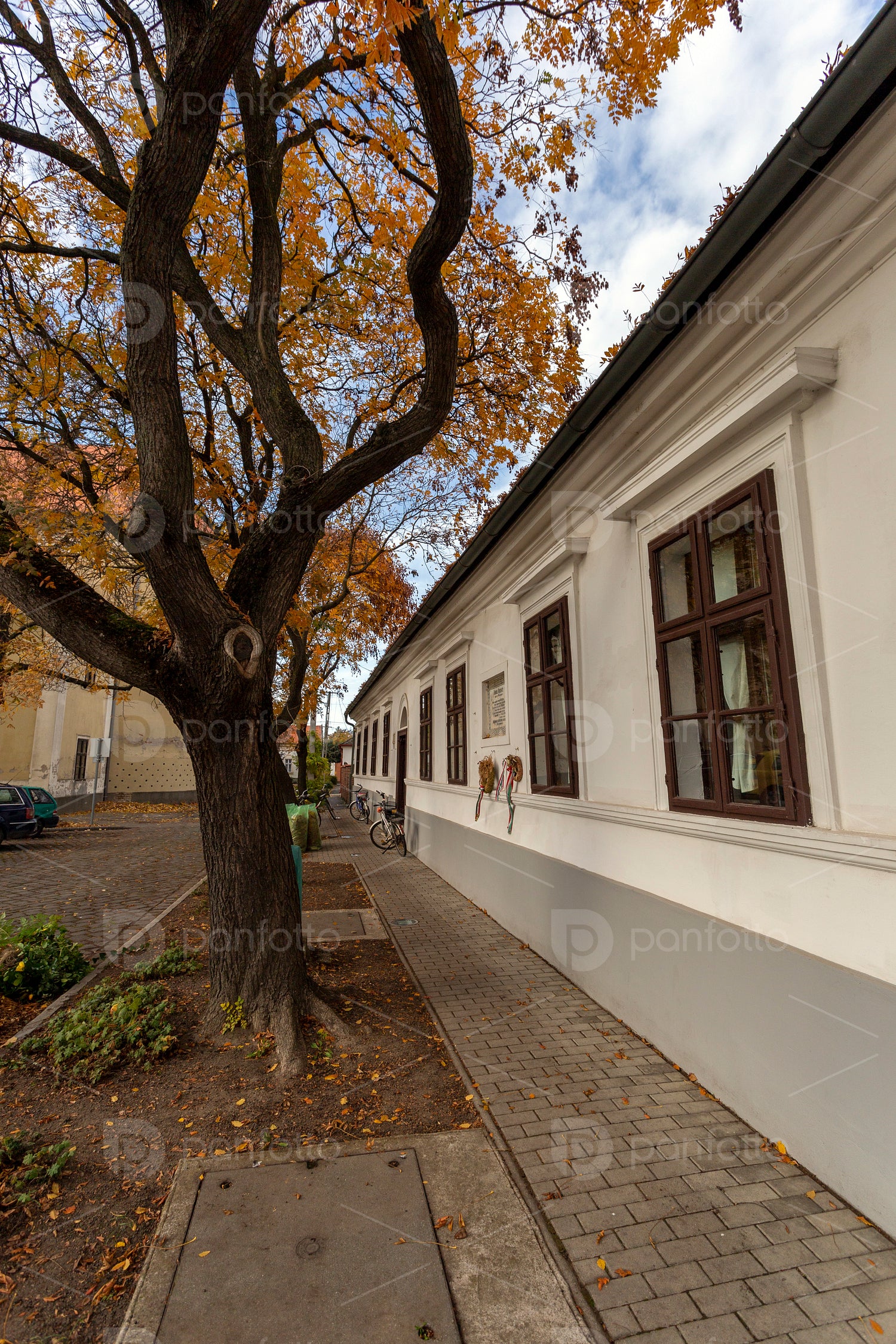 Ferenc Erkel Memorial House in Gyula