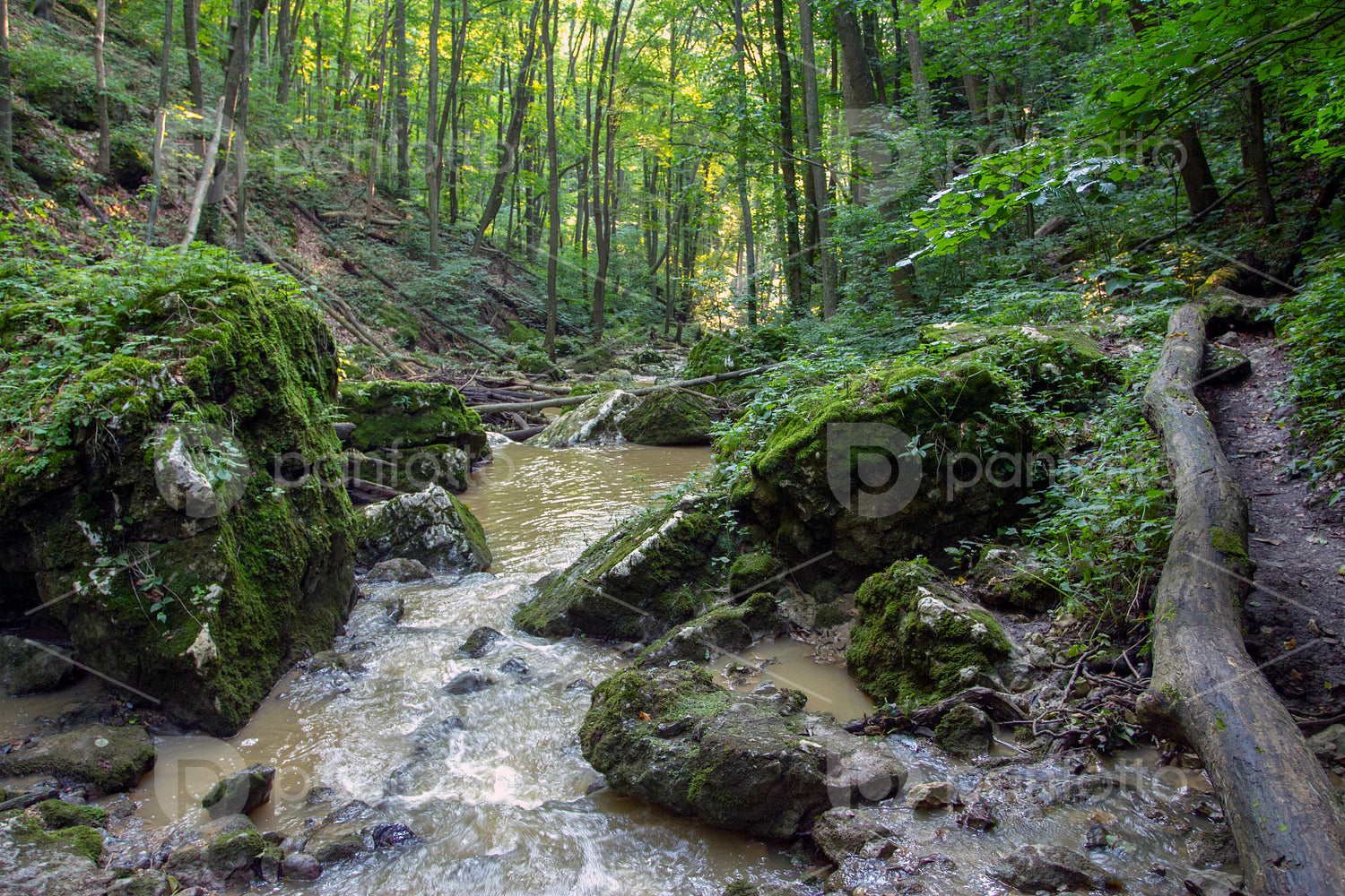 Gerence creek