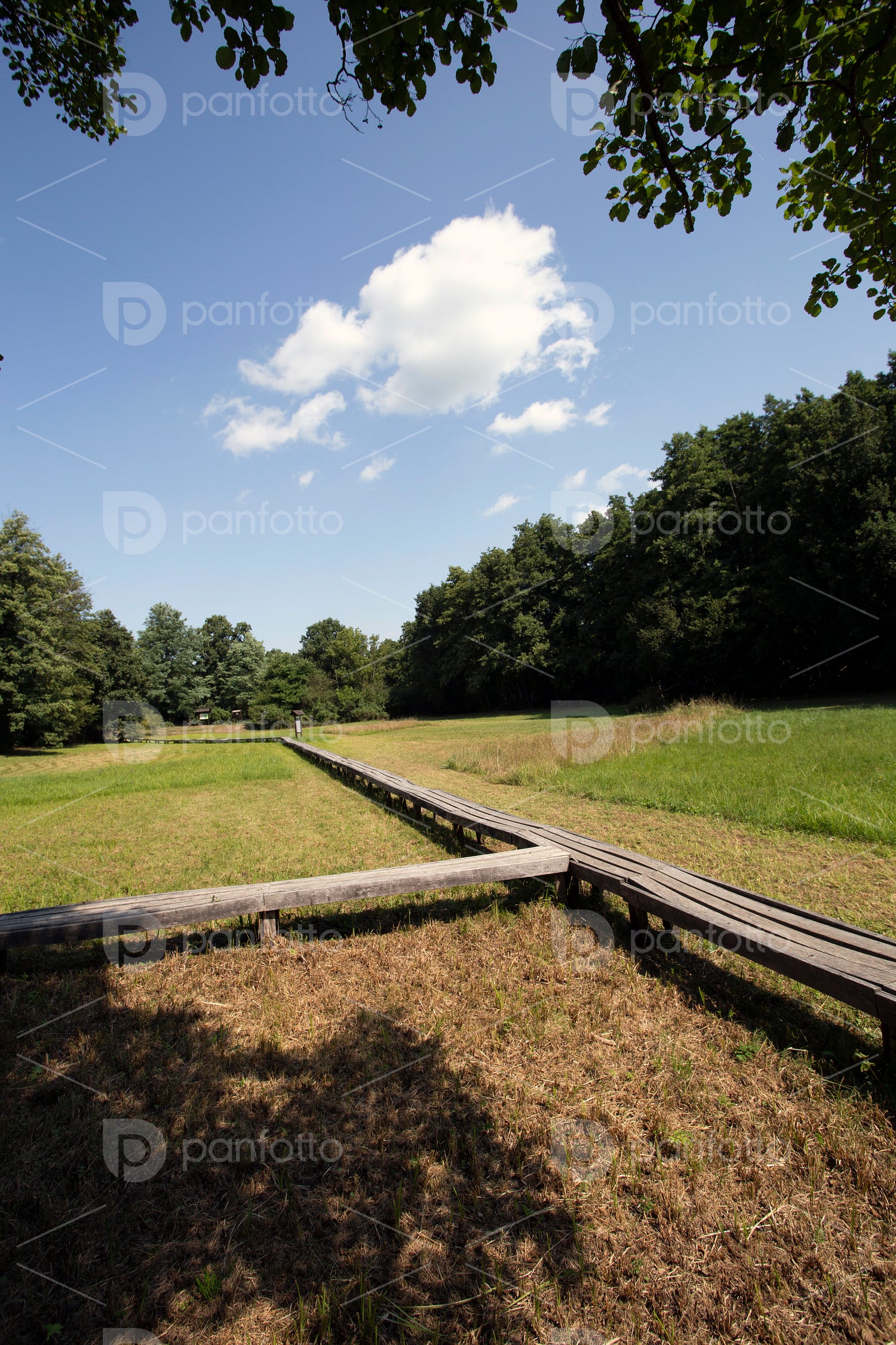 The moorland in Szőce
