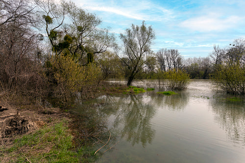 Bodrog river at Sárospatak