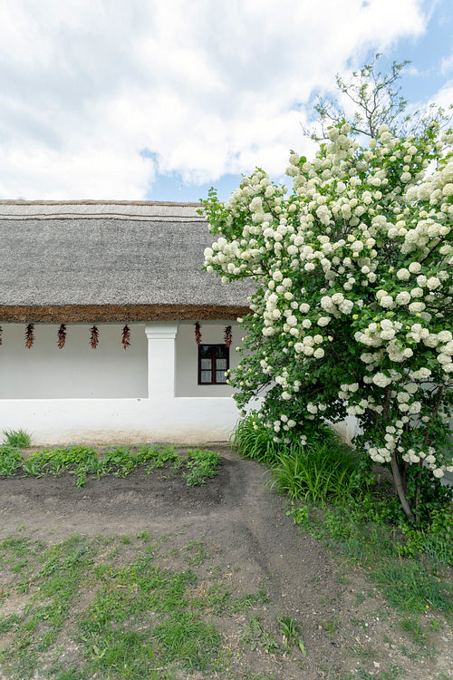 Traditional cottage house of Sükősd