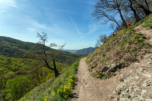 Spartacus trail in the Visegrád Mountains