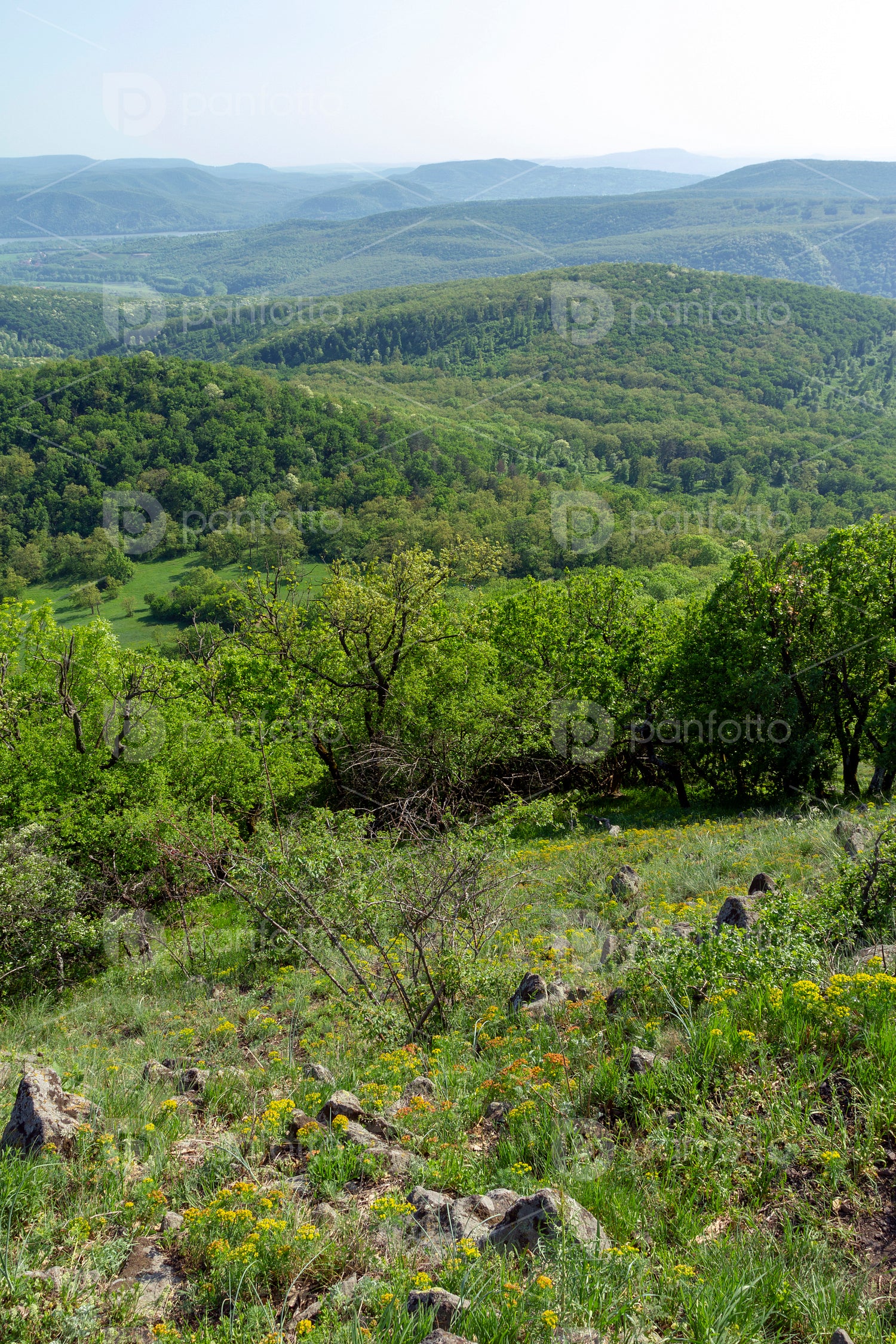 Börzsöny mountains