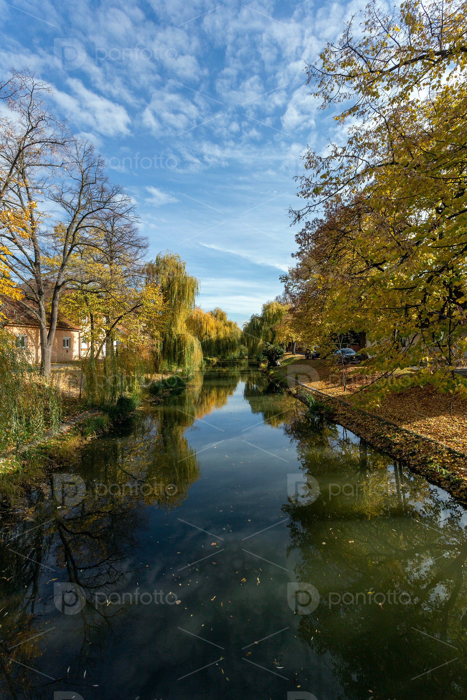 Autumn in Gyula on an sunny day