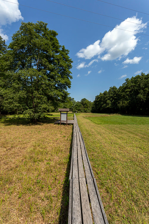 The moorland in Szőce
