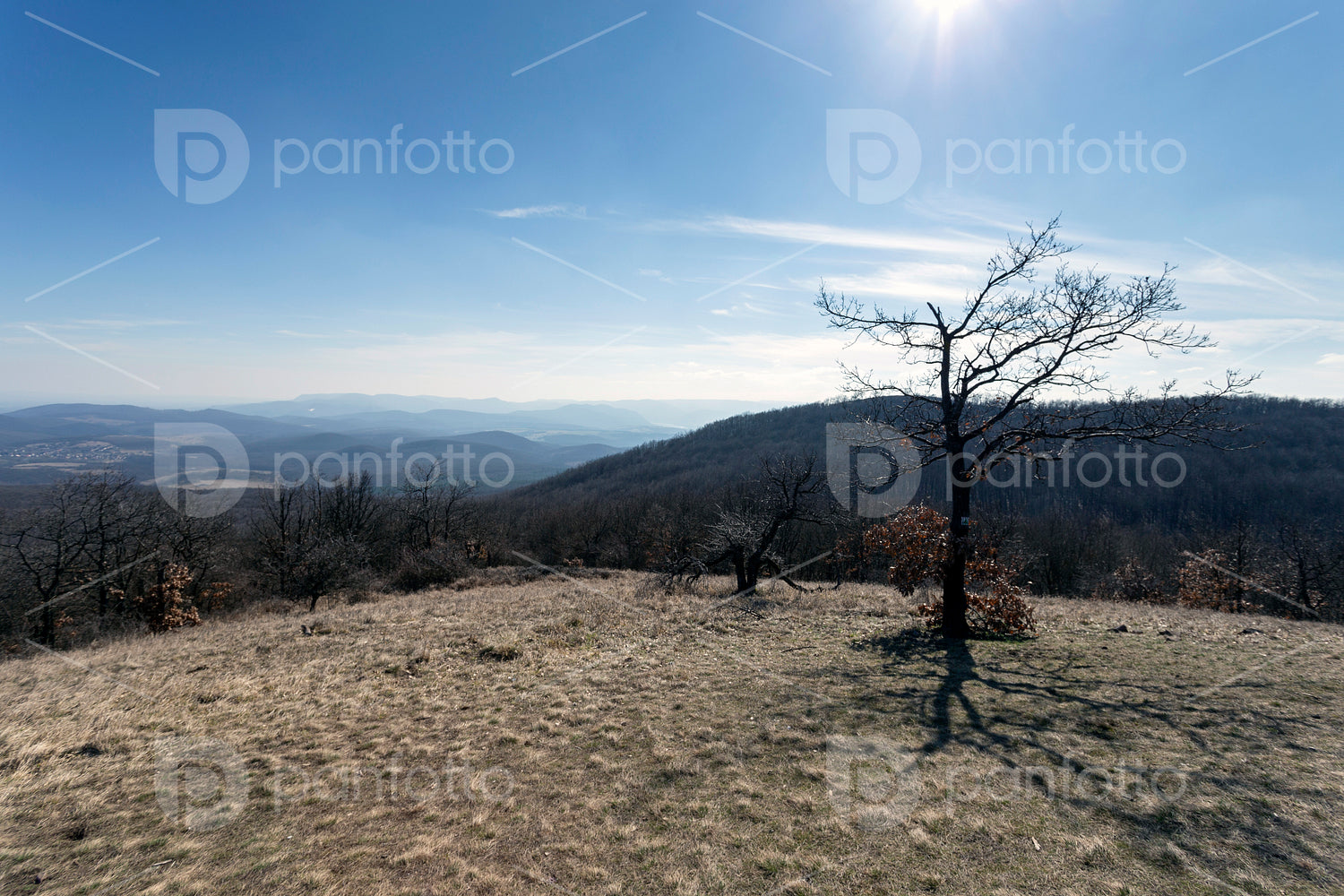View from the Nagy-Sas-hegy in the Börzsöny
