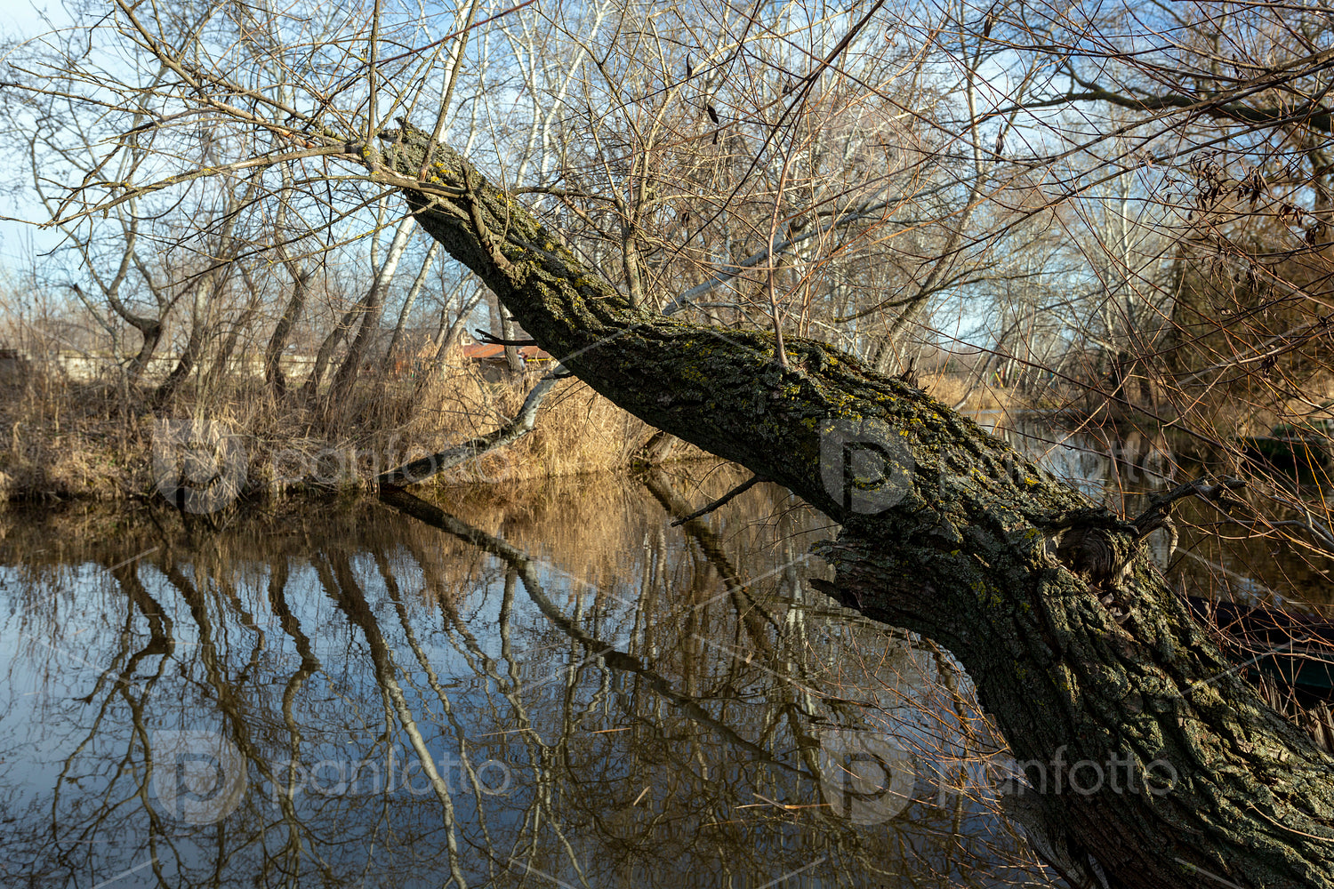 The river Danube at Szigetcsép