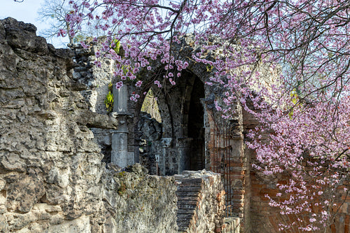Artificial ruins at the English garden in Tata