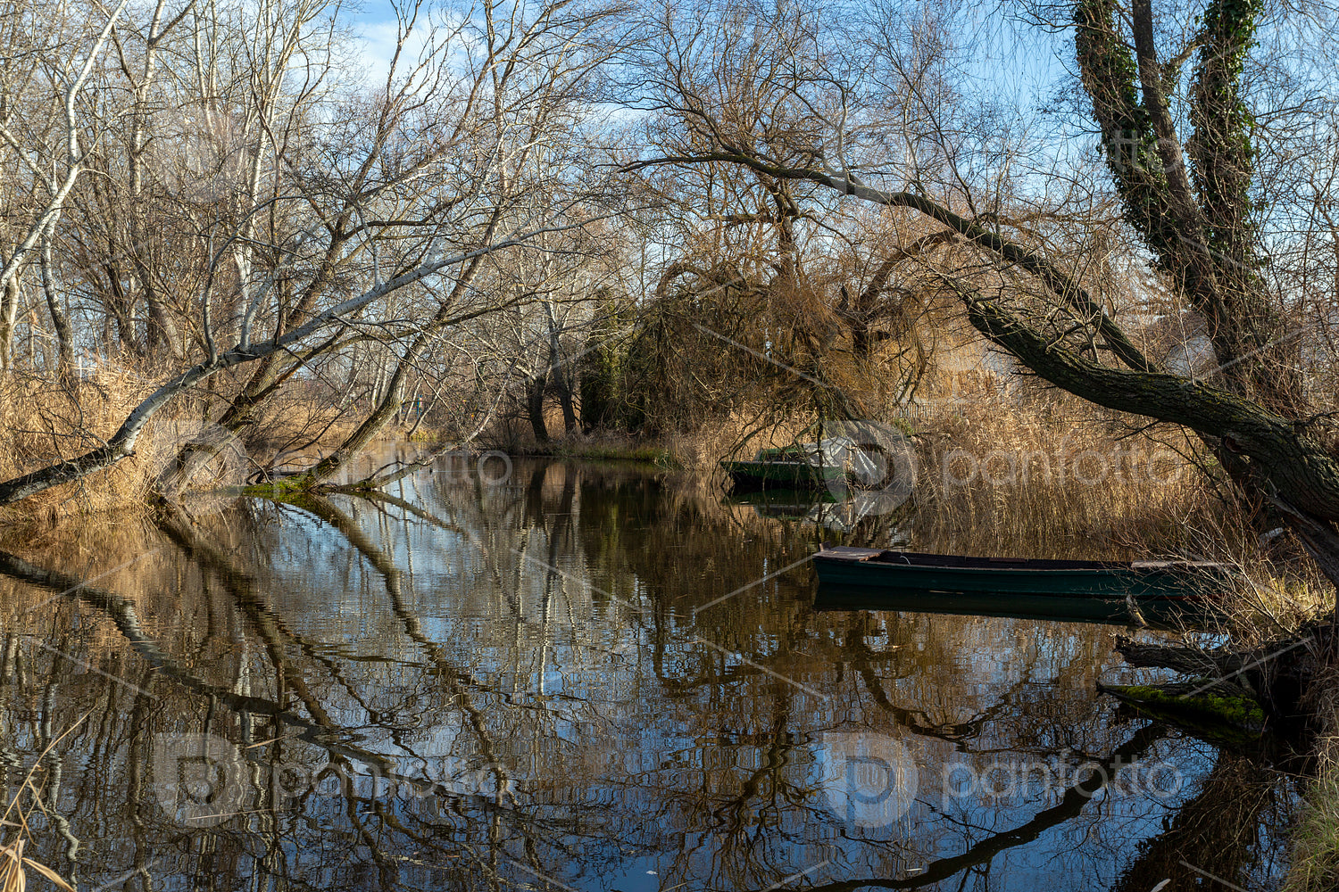 The river Danube at Szigetcsép