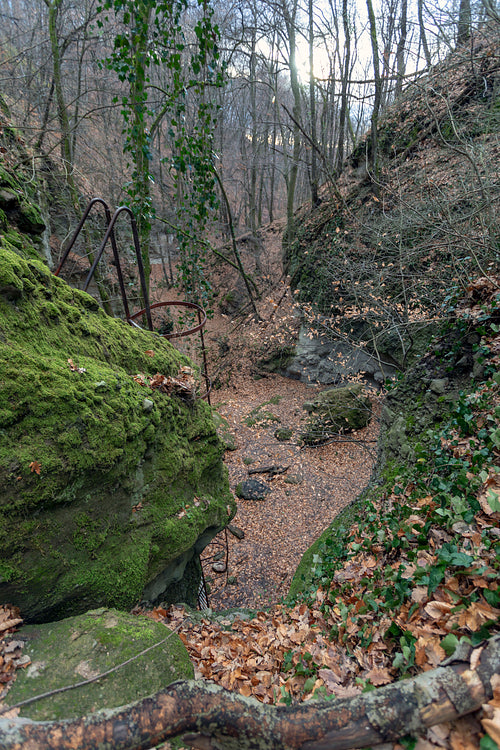 The Moonlight valley in the Visegrád Mountains