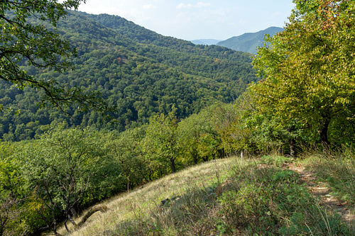 Spartacus trail in summer