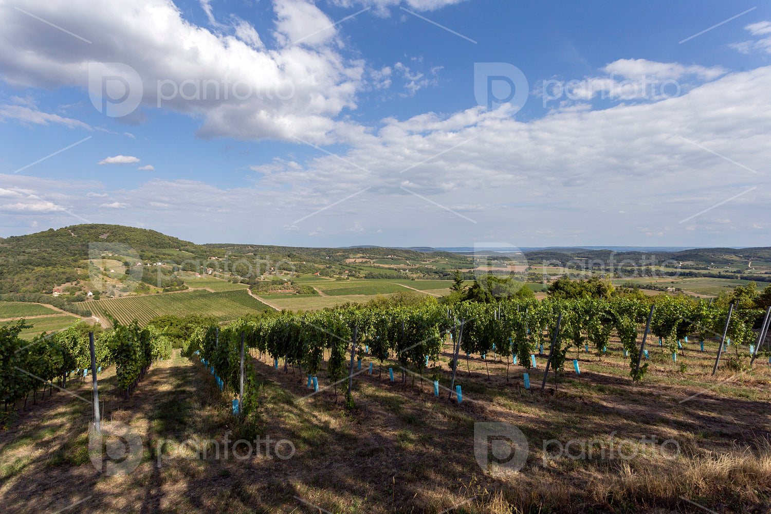 Balaton Uplands