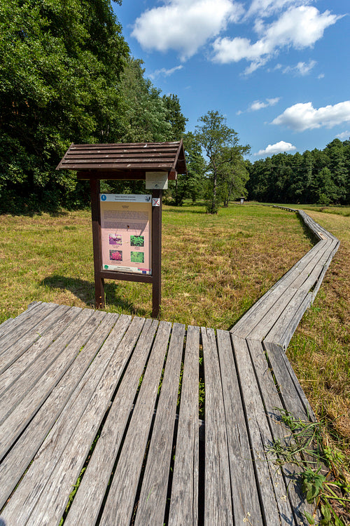 The moorland in Szőce