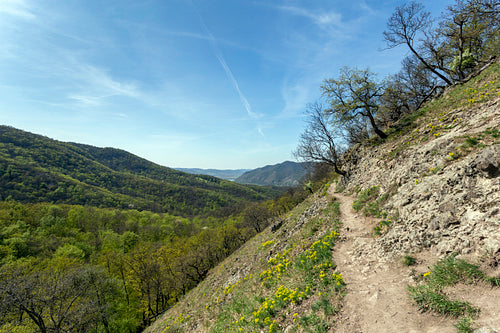 Spartacus trail in the Visegrád Mountains