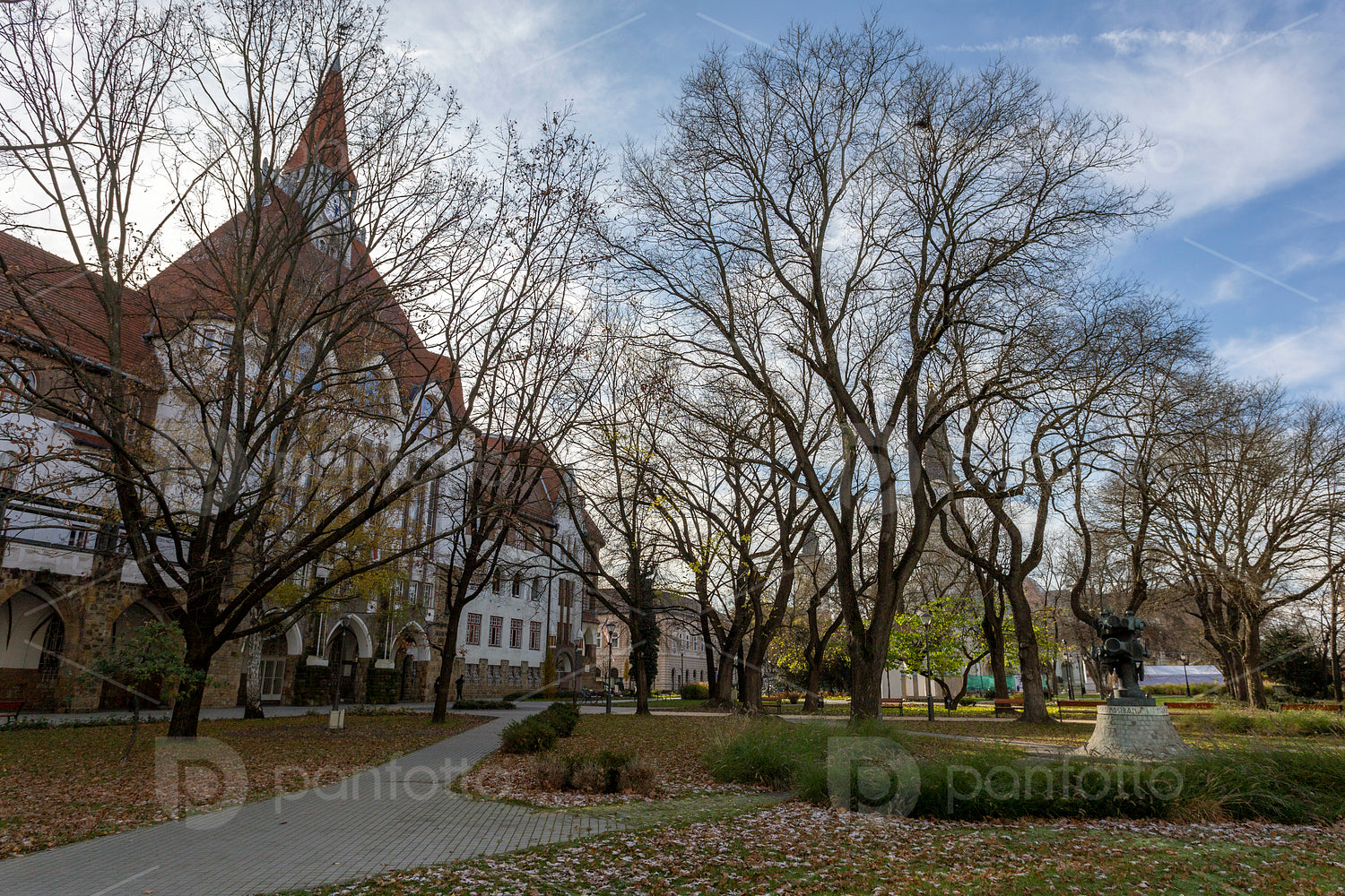 Calvinist College Grammar School in Kecskemet